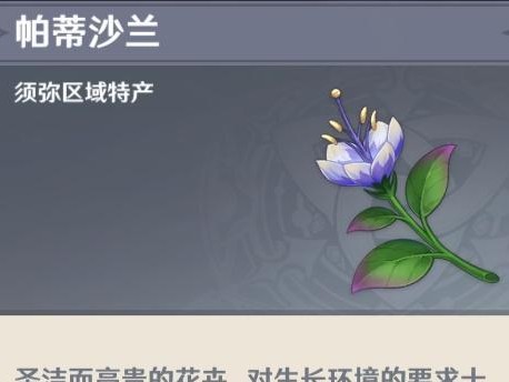 《揭秘星空之谜攻略》（星空之谜破解，探秘原神隐藏的秘密！）
