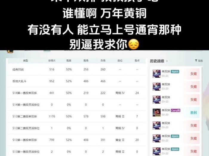 英雄联盟猫咪出装攻略——完美搭配战术利器（玩转猫咪，畅享游戏乐趣！）