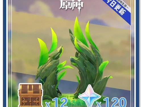 《探索原神须弥树洞解谜攻略》（探秘须弥树洞中的谜团，解锁隐藏的秘密！）