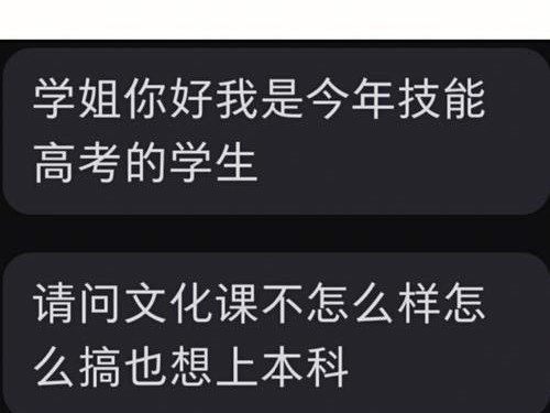 揭秘技能高考官网攻略（助你轻松备考，冲刺高分！）