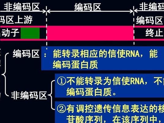 探索动物基因改造之旅——小游戏攻略（解锁奇幻基因，创造独特生物，玩转科技进化）