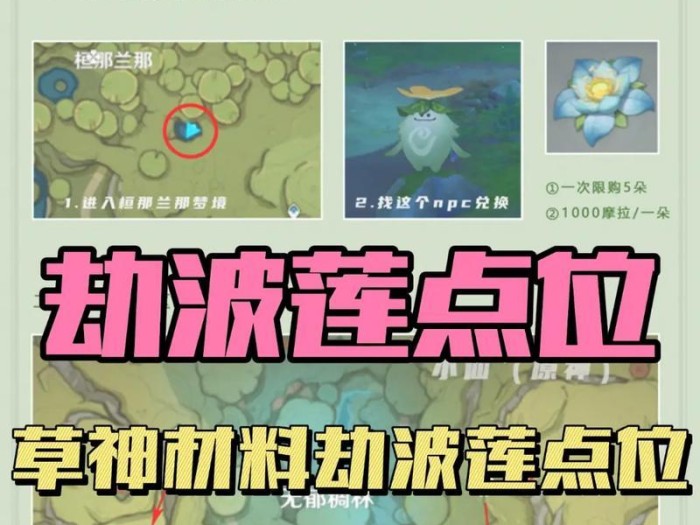 原神草神培养攻略合集（培养攻略、技巧、心得，带你打造强大的草神队伍）