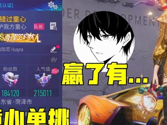王牌竞速闪灵技能强度攻略（技能强度分析、训练方法及实战应用全解析）