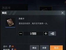 和平精英写名字怎么弄的,打造个性ID的秘诀