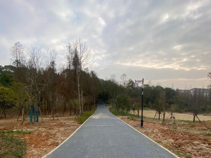 探索以莱文市公园副本