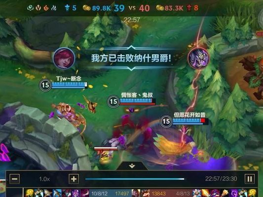 《手游泰达米尔出装教学攻略》（泰达米尔出装搭配技巧及核心装备选择指南）