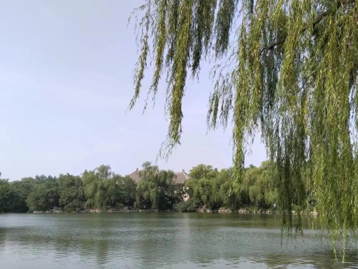 双子星座军阀攻略（解密双子星座军阀的策略与行为模式，成为他们的最佳对手）