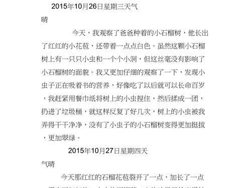 观察日记游戏攻略（通过观察日记游戏，发现家庭中隐藏的乐趣与细节！）