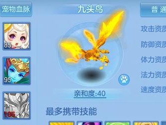 《以神武手游攻略宠物选择技能，提升实力》（解析宠物技能搭配，打造强大阵容）