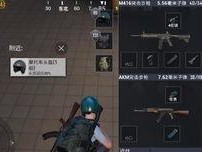 新角色怎么打和平精英的,掌握和平精英新角色战斗技巧，提升竞技实力