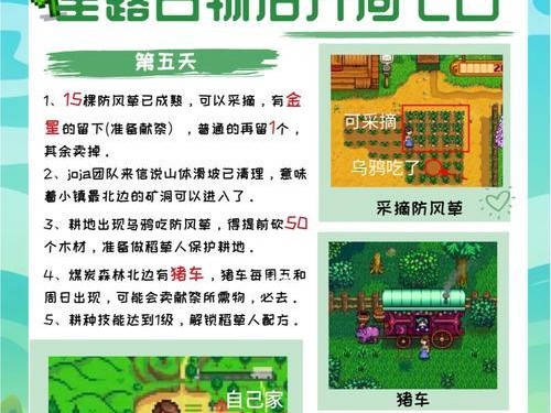 乌鸦技能成长攻略（解密乌鸦技能提升的秘诀）
